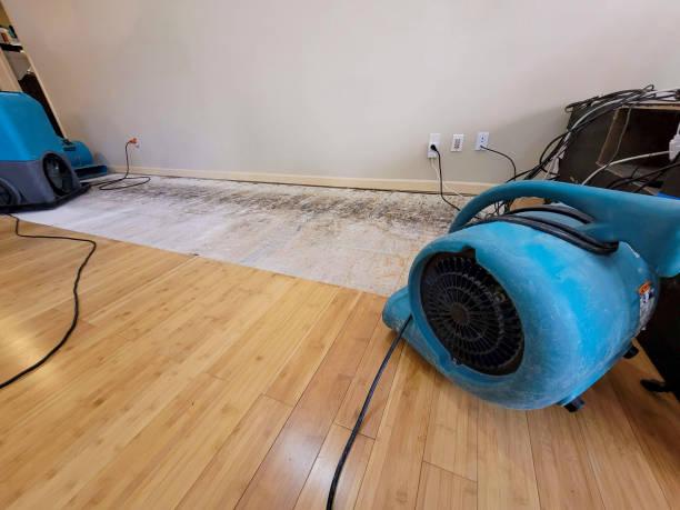 Professional Basement Flood Cleanup technician working in Fair Lawn, NJ
